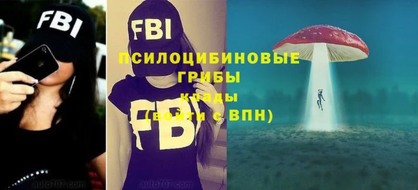 первитин Елабуга
