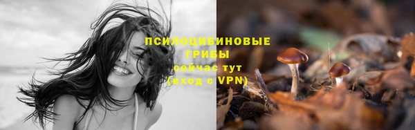 крисы Мегион