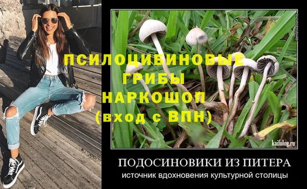 первитин Елабуга