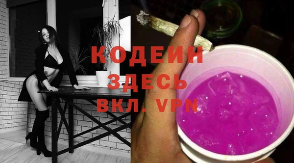 дурь Елизово